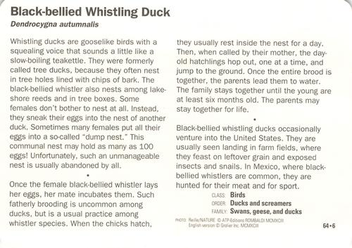 1991-95 Grolier Wildlife Adventure Cards #64.6 Black-bellied Whistling Duck Back