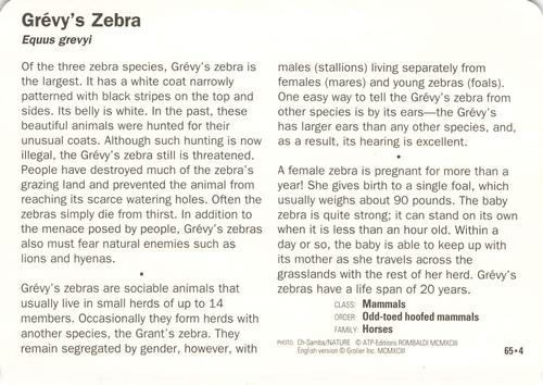 1991-95 Grolier Wildlife Adventure Cards #65.4 Grévy's Zebra Back