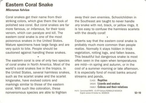 1991-95 Grolier Wildlife Adventure Cards #52.10 Eastern Coral Snake Back