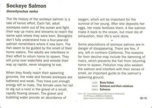1991-95 Grolier Wildlife Adventure Cards #52.12 Sockeye Salmon Back