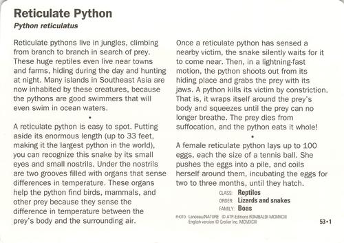 1991-95 Grolier Wildlife Adventure Cards #53.1 Reticulate Python Back