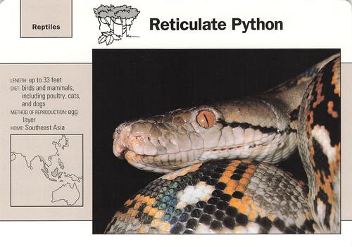 1991-95 Grolier Wildlife Adventure Cards #53.1 Reticulate Python Front