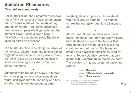 1991-95 Grolier Wildlife Adventure Cards #53.6 Sumatran Rhinoceros Back