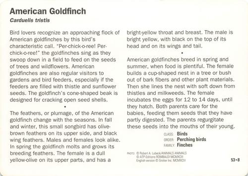 1991-95 Grolier Wildlife Adventure Cards #53.8 American Goldfinch Back