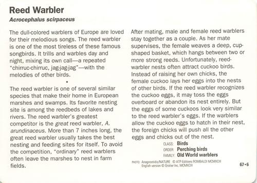 1991-95 Grolier Wildlife Adventure Cards #67.6 Reed Warbler Back
