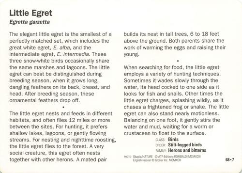 1991-95 Grolier Wildlife Adventure Cards #68.7 Little Egret Back