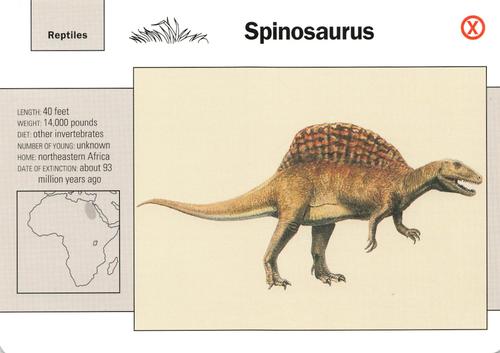 1991-95 Grolier Wildlife Adventure Cards #70.19 Spinosaurus Front