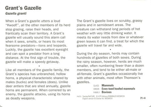 1991-95 Grolier Wildlife Adventure Cards #71.4 Grant's Gazelle Back