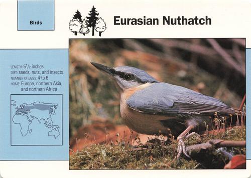 1991-95 Grolier Wildlife Adventure Cards #73.9 Eurasian Nuthatch Front
