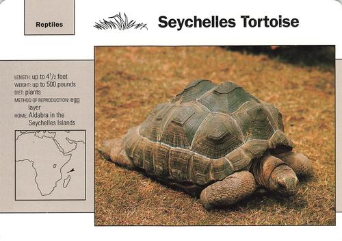 1991-95 Grolier Wildlife Adventure Cards #74.10 Seychelles Tortoise Front