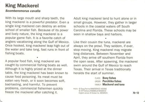 1991-95 Grolier Wildlife Adventure Cards #76.12 King Mackerel Back