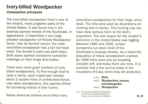 1991-95 Grolier Wildlife Adventure Cards #76.19 Ivory-billed Woodpecker Back