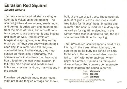 1991-95 Grolier Wildlife Adventure Cards #77.5 Eurasian Red Squirrel Back