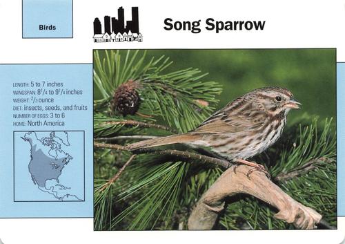 1991-95 Grolier Wildlife Adventure Cards #54.8 Song Sparrow Front