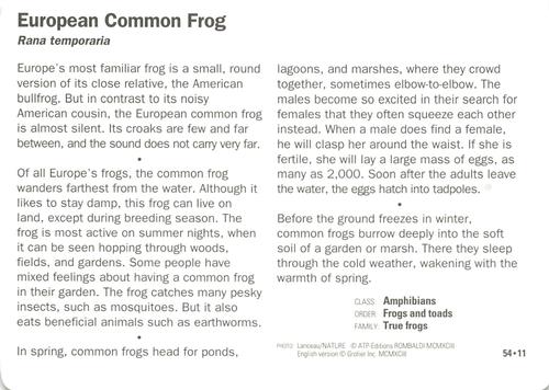 1991-95 Grolier Wildlife Adventure Cards #54.11 European Common Frog Back