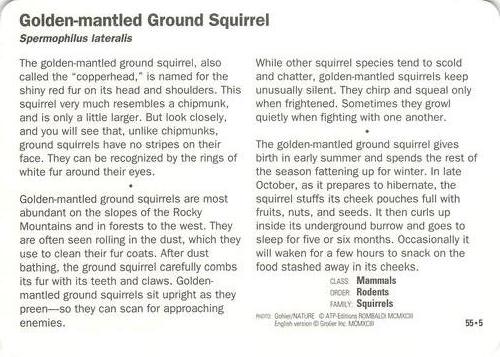1991-95 Grolier Wildlife Adventure Cards #55.5 Golden-mantled Ground Squirrel Back