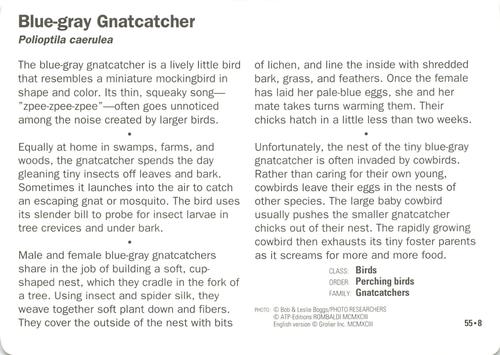 1991-95 Grolier Wildlife Adventure Cards #55.8 Blue-gray Gnatcatcher Back