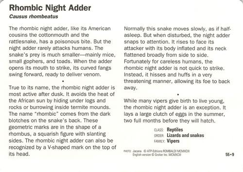 1991-95 Grolier Wildlife Adventure Cards #55.9 Rhombic Night Adder Back