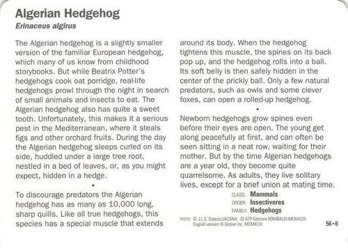 1991-95 Grolier Wildlife Adventure Cards #56.6 Algerian Hedgehog Back