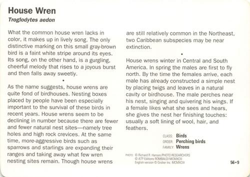 1991-95 Grolier Wildlife Adventure Cards #56.9 House Wren Back