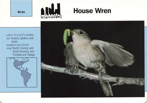 1991-95 Grolier Wildlife Adventure Cards #56.9 House Wren Front
