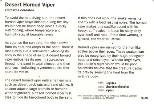 1991-95 Grolier Wildlife Adventure Cards #56.10 Desert Horned Viper Back