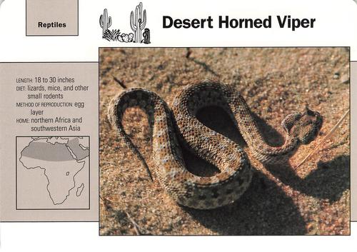 1991-95 Grolier Wildlife Adventure Cards #56.10 Desert Horned Viper Front