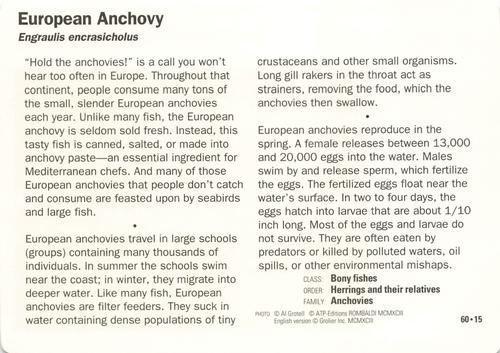 1991-95 Grolier Wildlife Adventure Cards #60.15 European Anchovy Back
