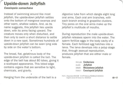 1991-95 Grolier Wildlife Adventure Cards #60.17 Upside-down Jellyfish Back