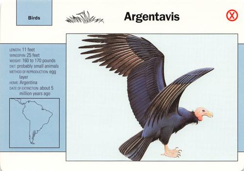 1991-95 Grolier Wildlife Adventure Cards #60.19 Argentavis Front
