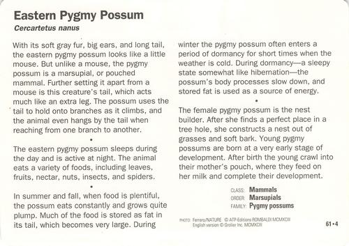 1991-95 Grolier Wildlife Adventure Cards #61.4 Eastern Pygmy Possum Back