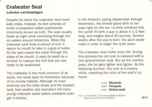 1991-95 Grolier Wildlife Adventure Cards #61.5 Crabeater Seal Back