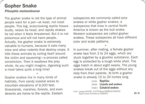 1991-95 Grolier Wildlife Adventure Cards #61.9 Gopher Snake Back