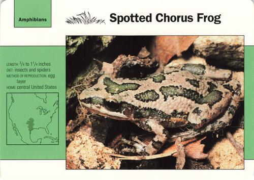 1991-95 Grolier Wildlife Adventure Cards #61.12 Spotted Chorus Frog Front