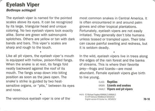 1991-95 Grolier Wildlife Adventure Cards #78.10 Eyelash Viper Back