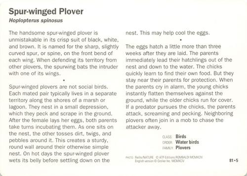 1991-95 Grolier Wildlife Adventure Cards #81.5 Spur-winged Plover Back