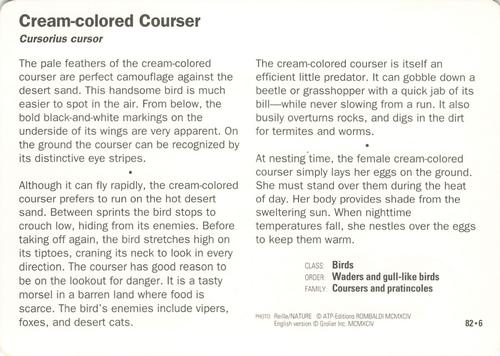 1991-95 Grolier Wildlife Adventure Cards #82.6 Cream-colored Courser Back