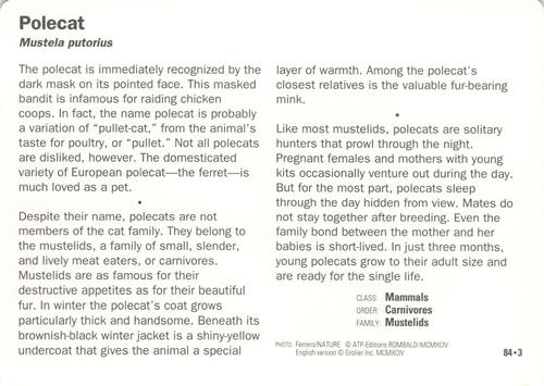 1991-95 Grolier Wildlife Adventure Cards #84.3 Polecat Back