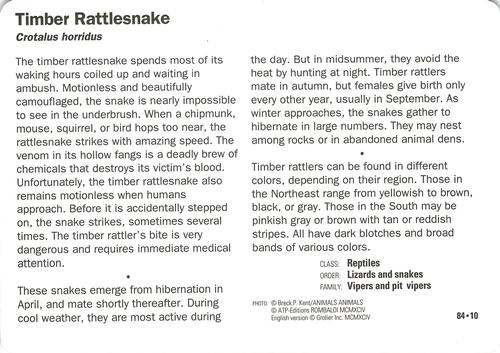 1991-95 Grolier Wildlife Adventure Cards #84.10 Timber Rattlesnake Back