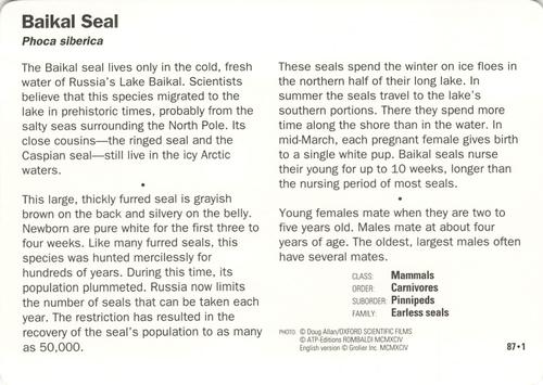 1991-95 Grolier Wildlife Adventure Cards #87.1 Baikal Seal Back