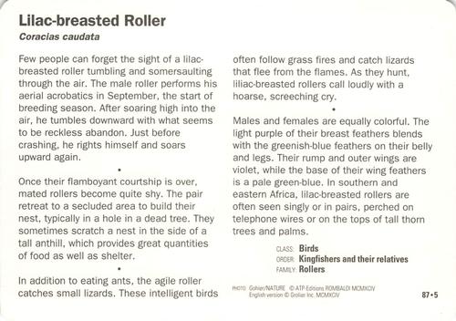 1991-95 Grolier Wildlife Adventure Cards #87.5 Lilac-breasted Roller Back