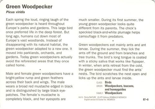 1991-95 Grolier Wildlife Adventure Cards #87.6 Green Woodpecker Back