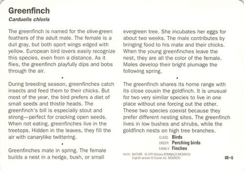 1991-95 Grolier Wildlife Adventure Cards #88.6 Greenfinch Back