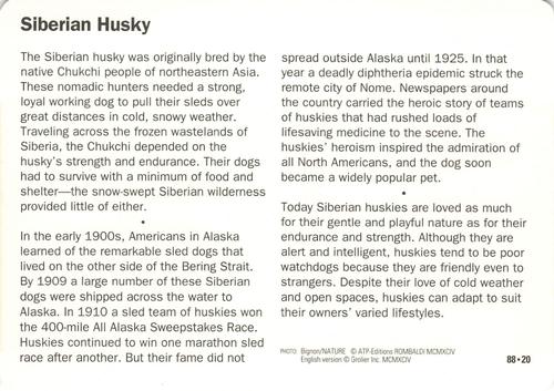 1991-95 Grolier Wildlife Adventure Cards #88.20 Siberian Husky Back