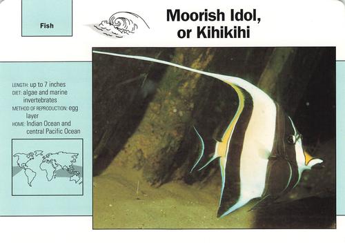1991-95 Grolier Wildlife Adventure Cards #90.13 Moorish Idol, or Kihikihi Front