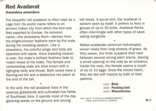 1991-95 Grolier Wildlife Adventure Cards #92.7 Red Avadavat Back