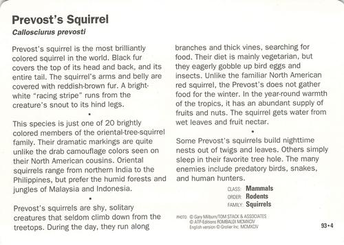 1991-95 Grolier Wildlife Adventure Cards #93.4 Prevost's Squirrel Back