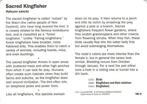 1991-95 Grolier Wildlife Adventure Cards #100.8 Sacred Kingfisher Back