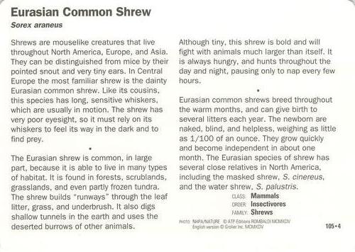 1991-95 Grolier Wildlife Adventure Cards #105.4 Eurasian Common Shrew Back