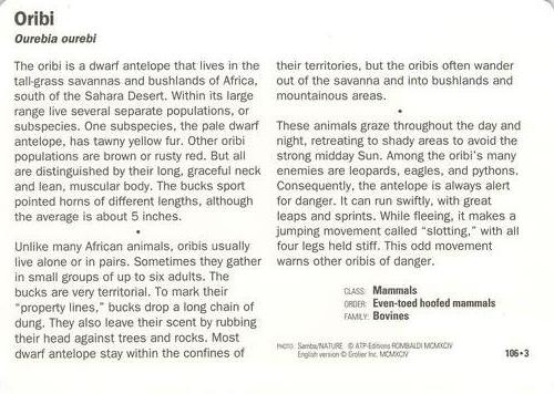 1991-95 Grolier Wildlife Adventure Cards #106.3 Oribi Back